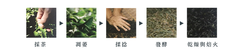 蜜香紅茶製成步驟