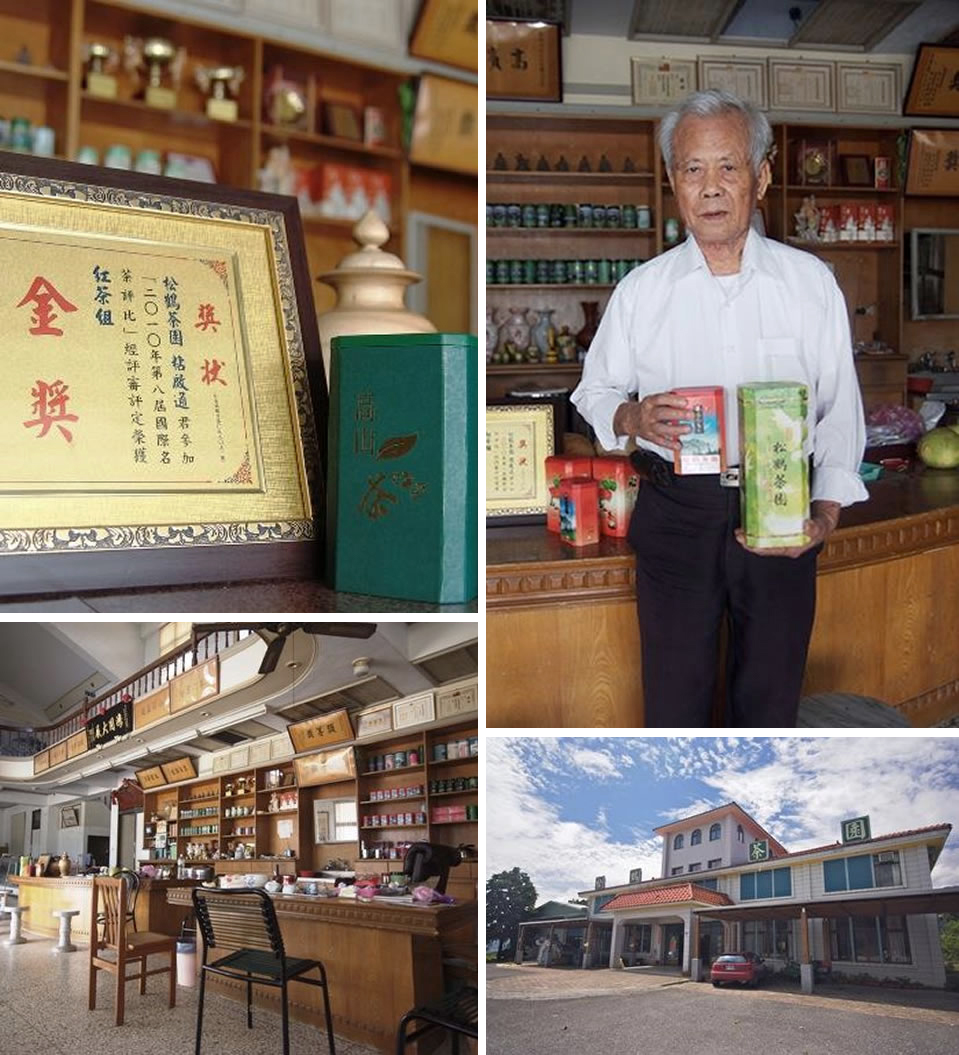 松鶴茶園現場介紹
